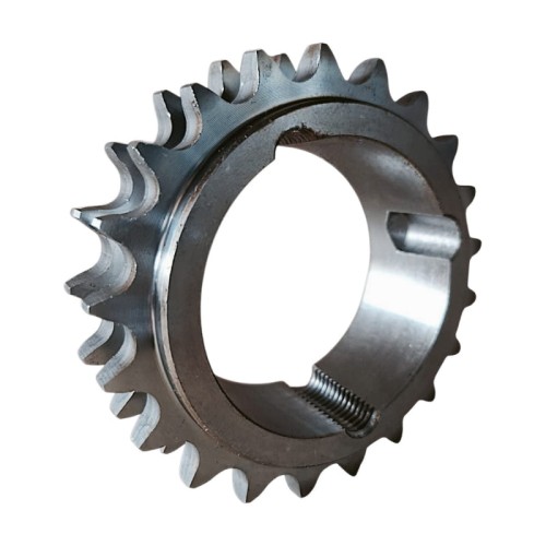 tl b2(1)-square.jpg