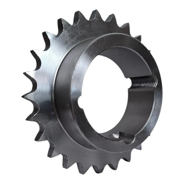 TL b1 square.jpg